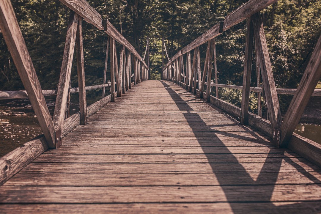 Wooden bridge leading to forest path